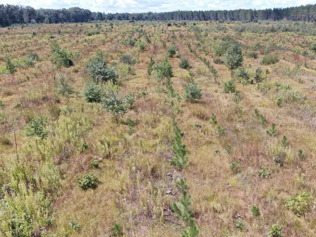 $400,000 | 80-ac 80-ac 13th Avenue, Arkdale, WI 54613