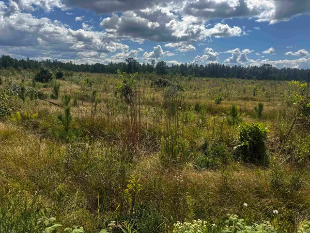 $400,000 | 80-ac 80-ac 13th Avenue, Arkdale, WI 54613