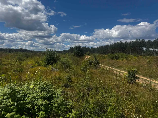 $400,000 | 80-ac 80-ac 13th Avenue, Arkdale, WI 54613