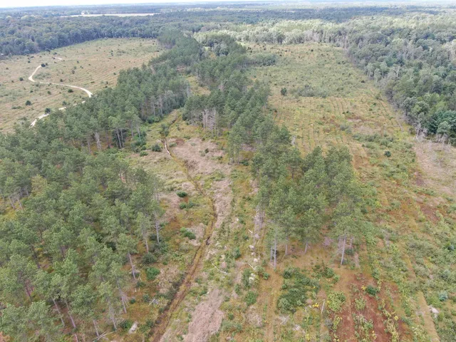 $400,000 | 80-ac 80-ac 13th Avenue, Arkdale, WI 54613