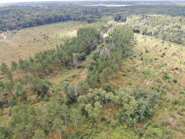 $400,000 | 80-ac 80-ac 13th Avenue, Arkdale, WI 54613
