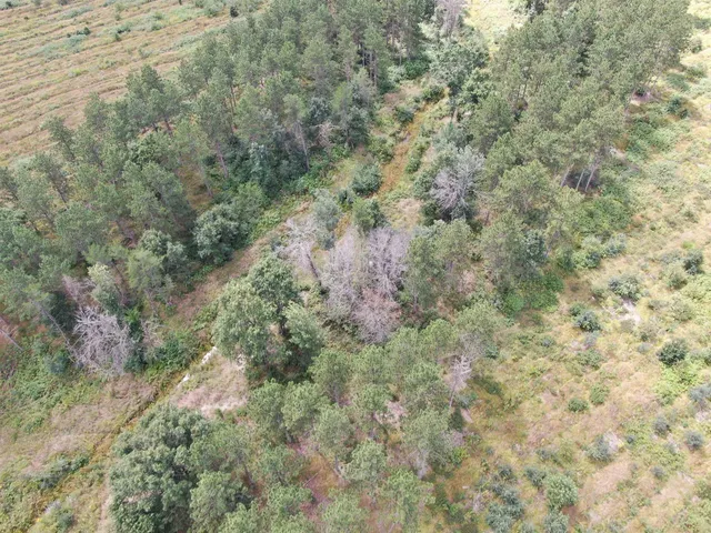 $400,000 | 80-ac 80-ac 13th Avenue, Arkdale, WI 54613