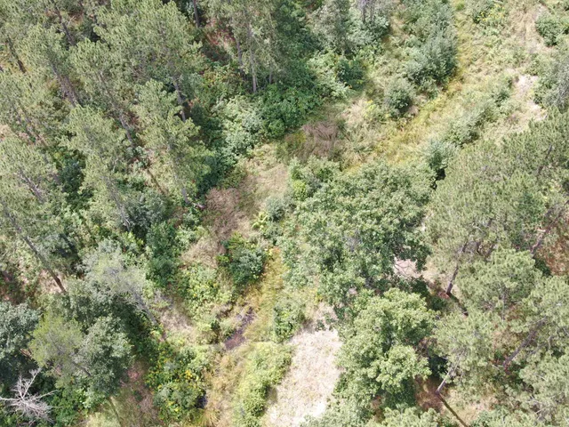 $400,000 | 80-ac 80-ac 13th Avenue, Arkdale, WI 54613