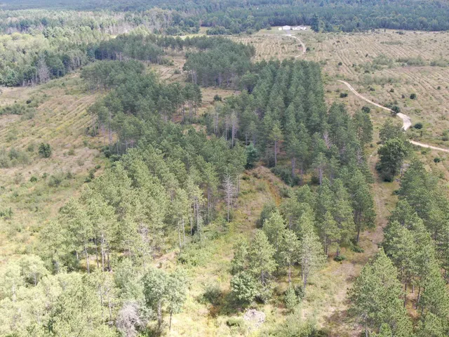 $400,000 | 80-ac 80-ac 13th Avenue, Arkdale, WI 54613