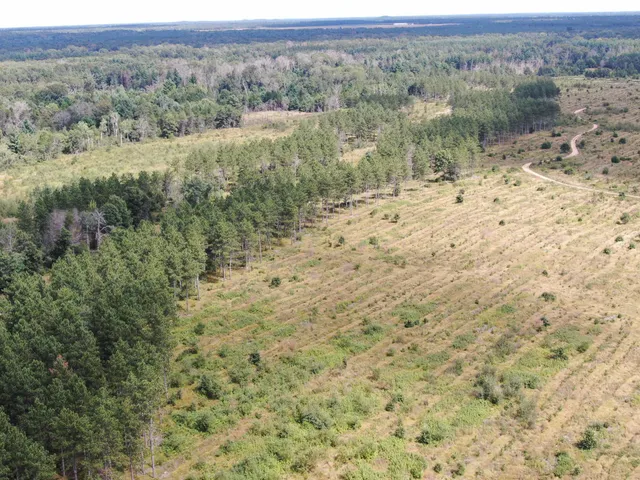 $400,000 | 80-ac 80-ac 13th Avenue, Arkdale, WI 54613