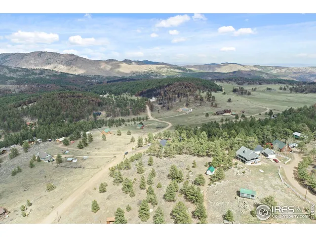 a view of a dry yard with trees in the background