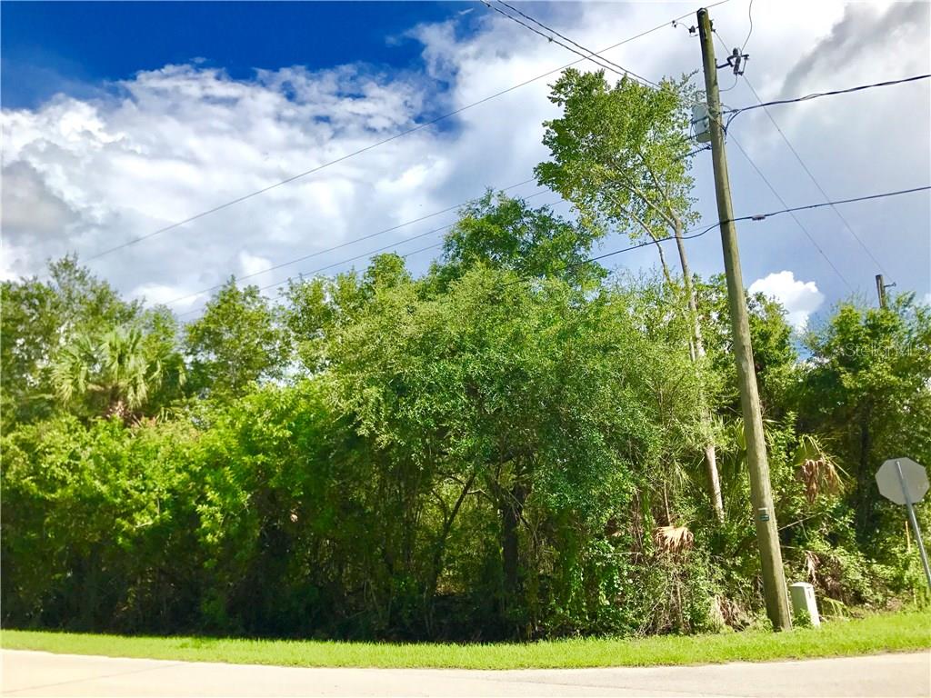 9911 Lorrayne Road Riverview, FL 33578 - Photo 1 of 1 Gallery Image 1