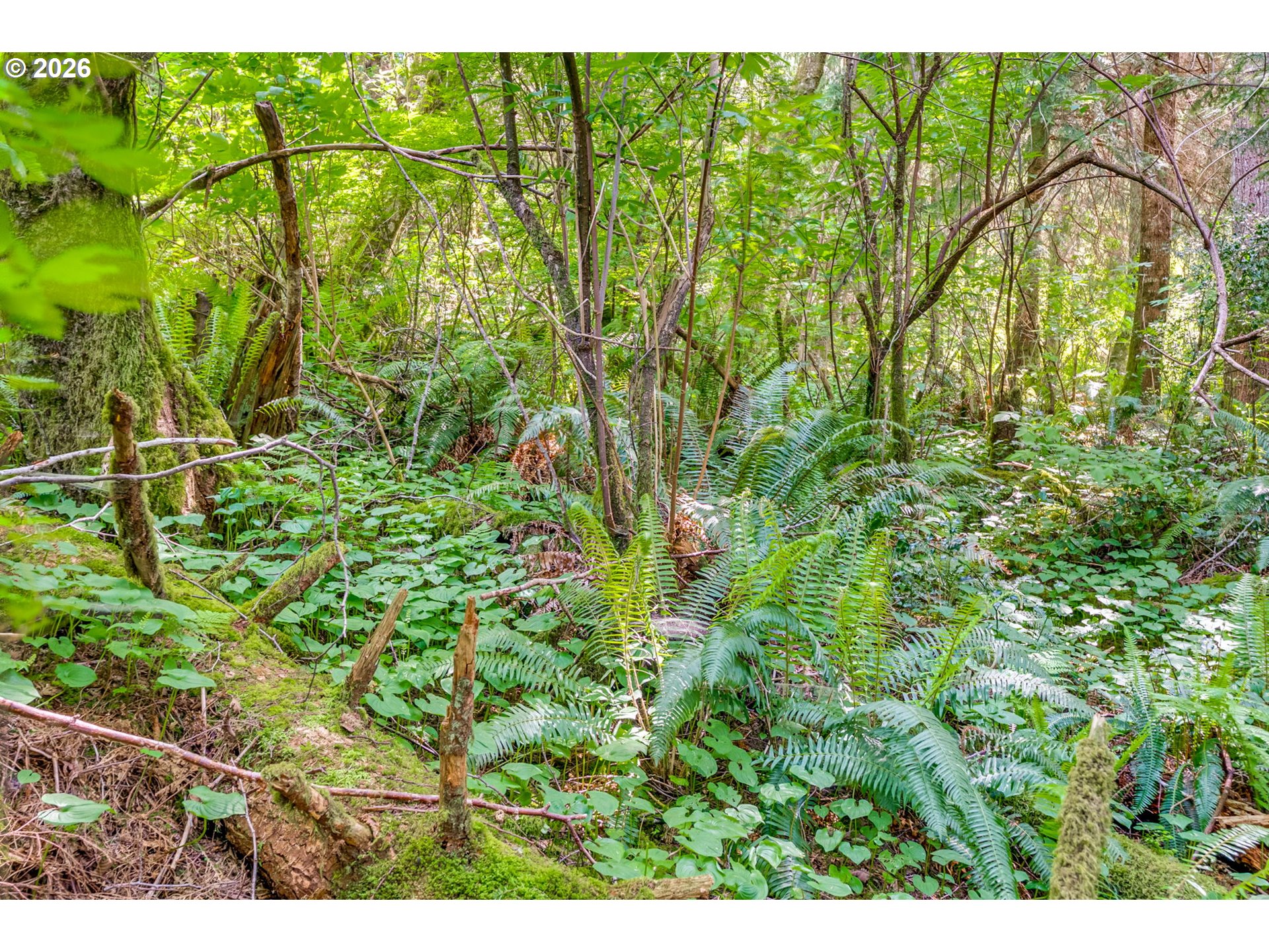 9 Block Nehalem, OR 97131 - Photo 4 of 36