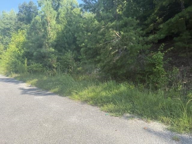 4 Carroll Hollow Road Waynesboro, TN 38485 - Photo 18 of 32 Gallery Image 18
