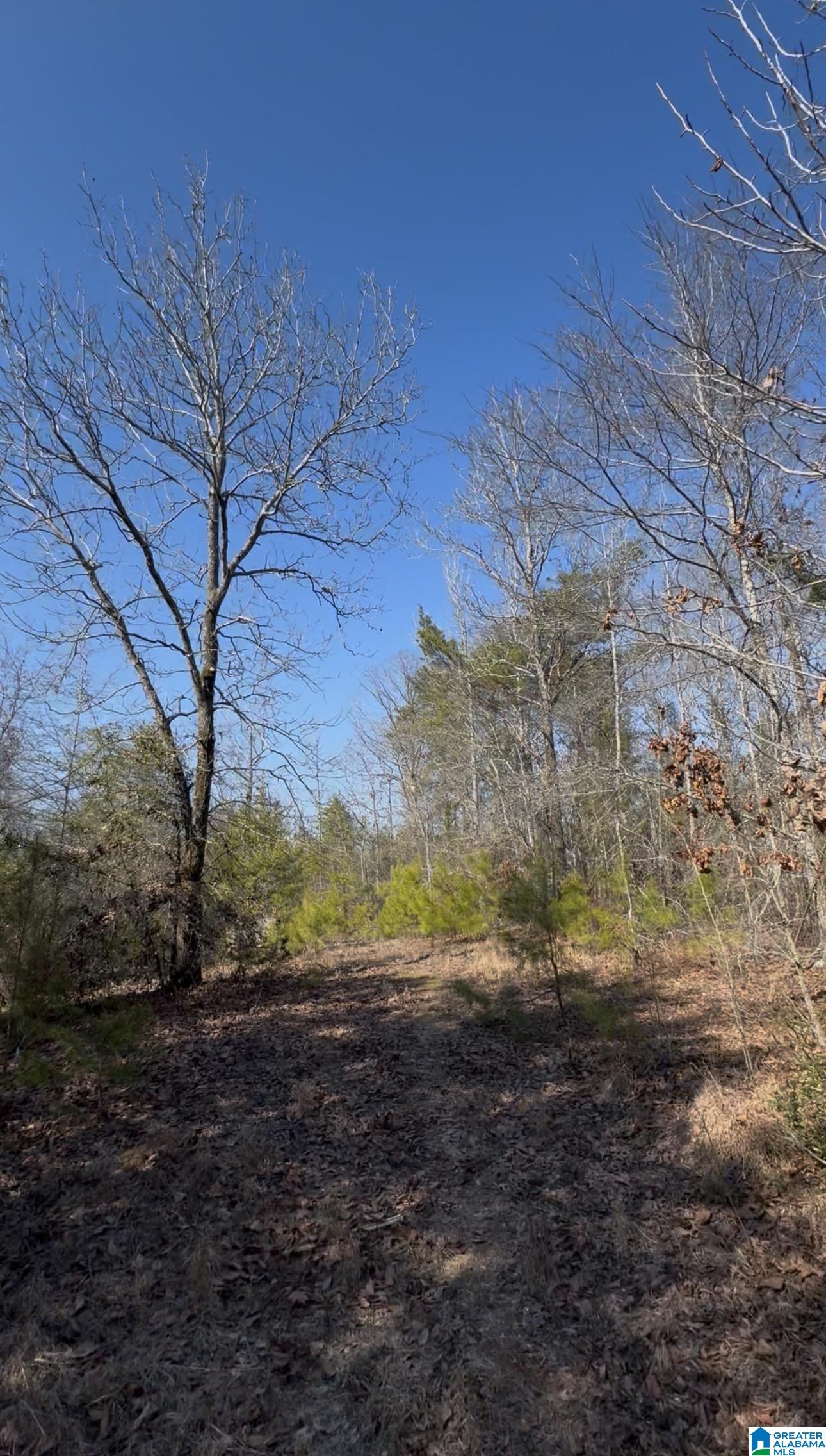 10 Rockyview Road, Unit 10 West Blocton, AL 35184 - Photo 5 of 10