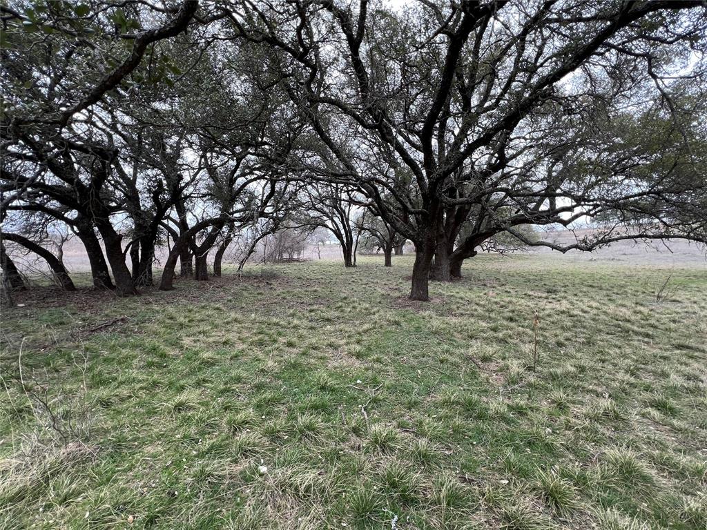 524 Comanche Lake Road Comanche, TX 76442 - Photo 1 of 1 View of yard