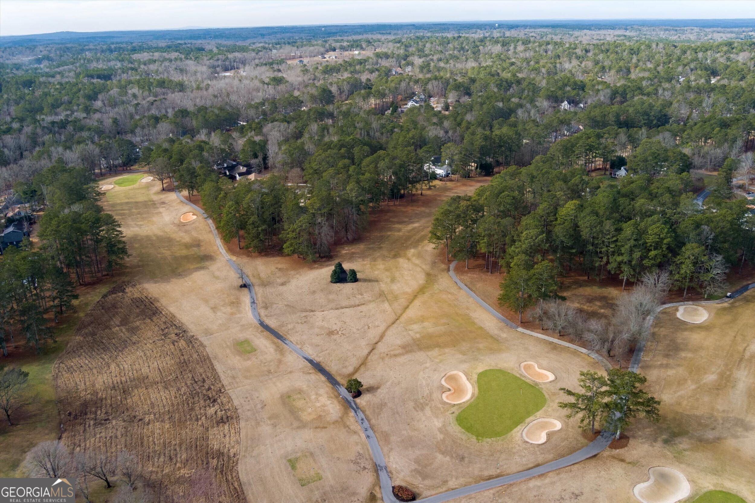 10038 Burford Court Villa Rica, GA 30180 - Photo 16 of 18 an aerial view of a house with a yard and lake view
