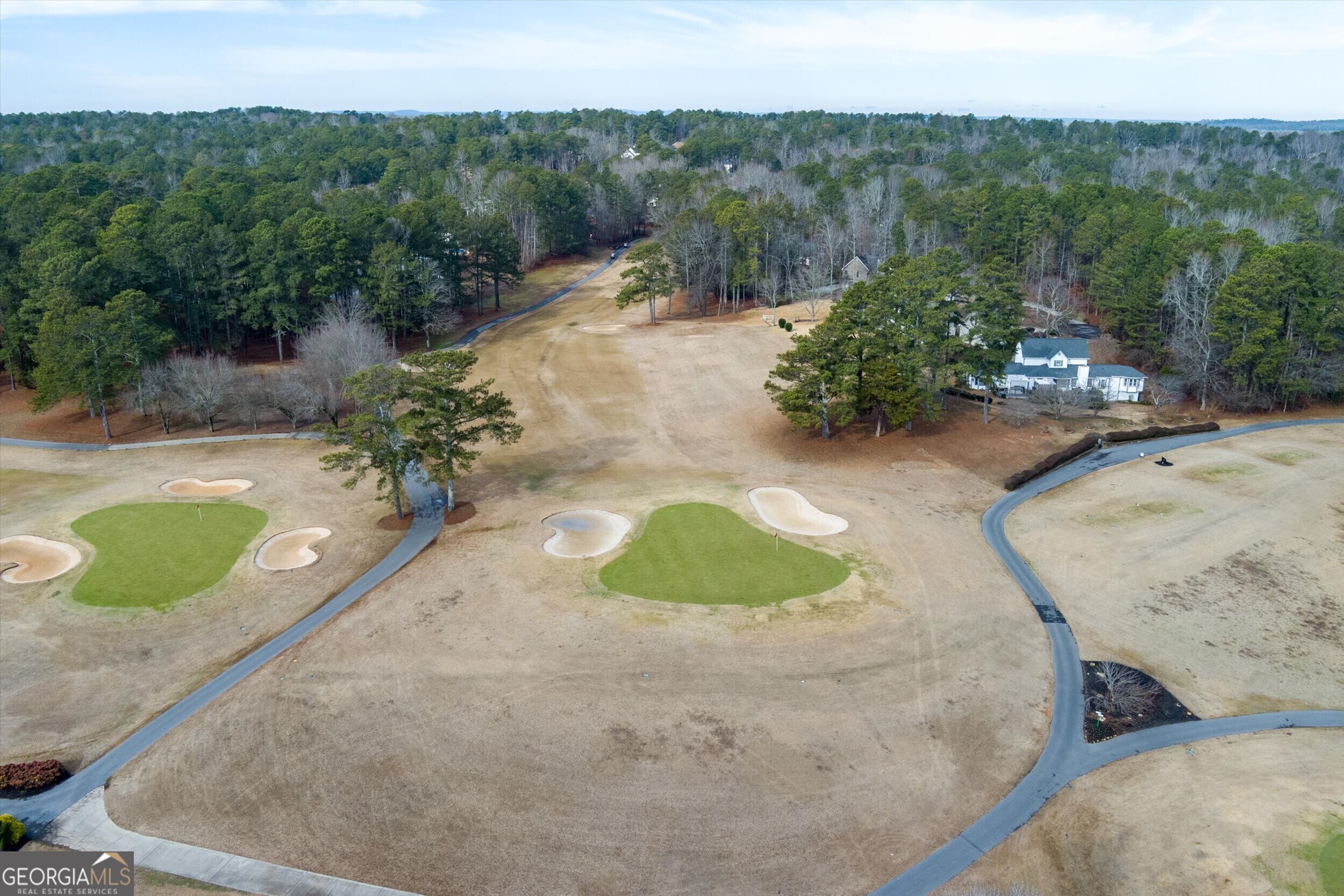 10038 Burford Court Villa Rica, GA 30180 - Photo 17 of 18 a view of a backyard