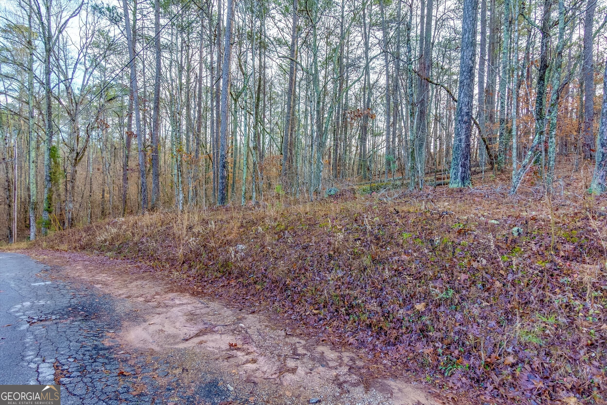 10038 Burford Court Villa Rica, GA 30180 - Photo 4 of 18 a view of outdoor space with green space