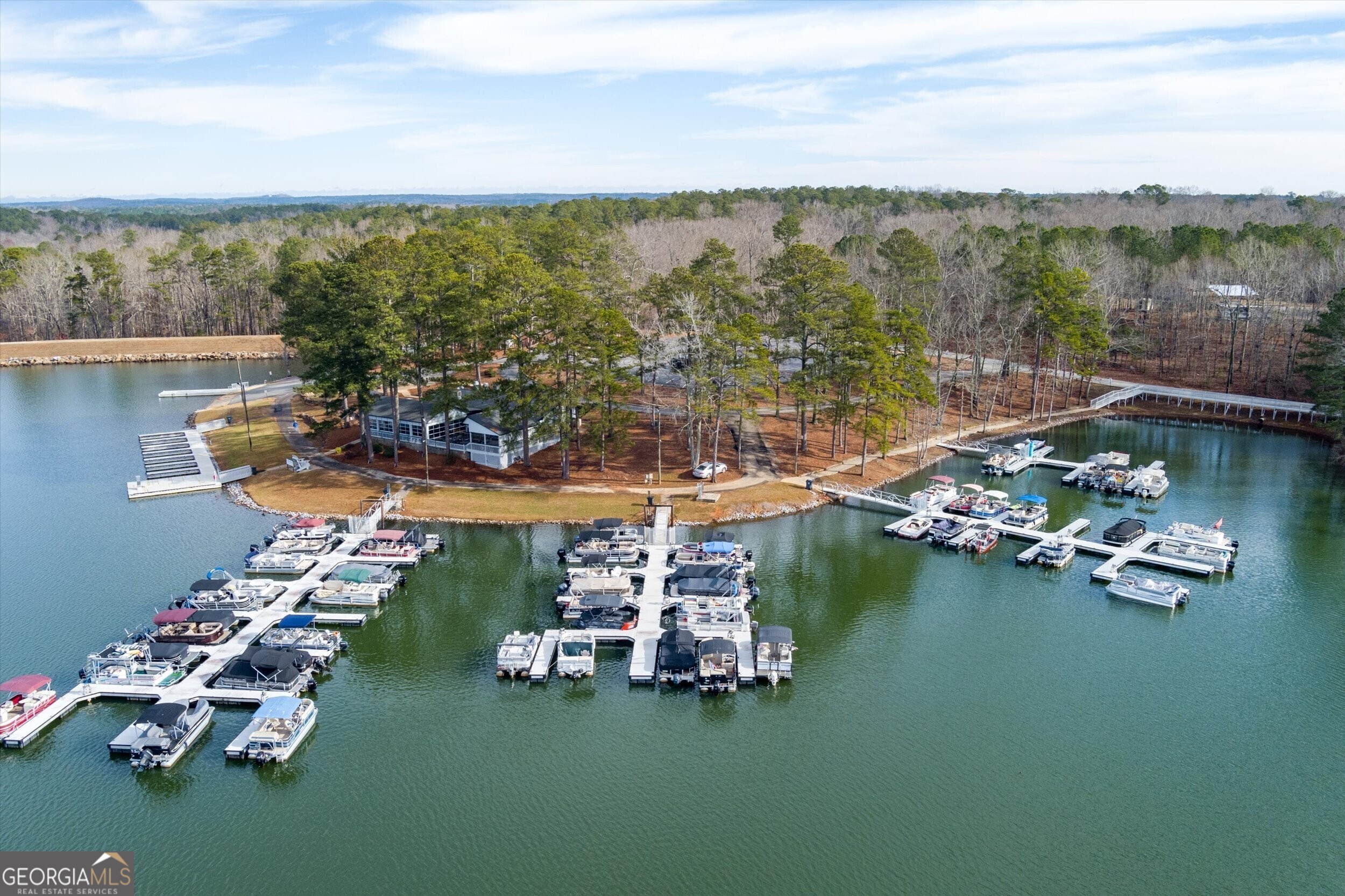10038 Burford Court Villa Rica, GA 30180 - Photo 5 of 18 a view of a lake with lawn chairs