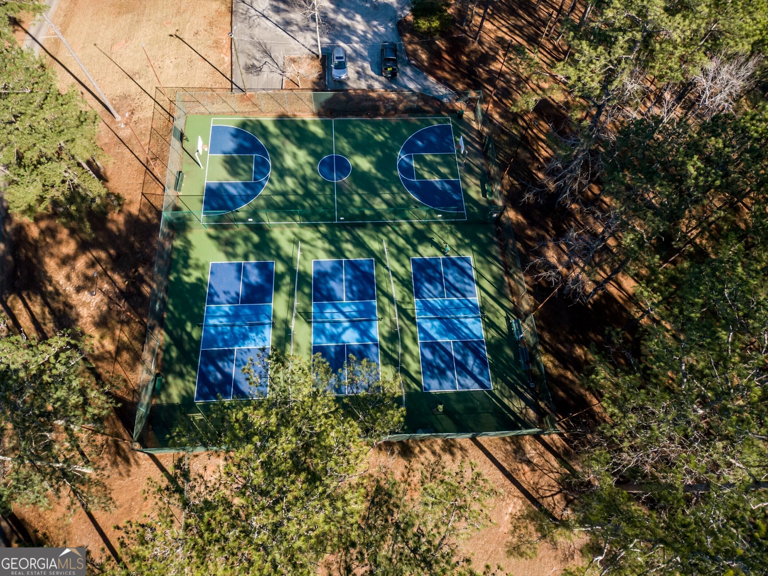 10038 Burford Court Villa Rica, GA 30180 - Photo 10 of 18 a view of a garden