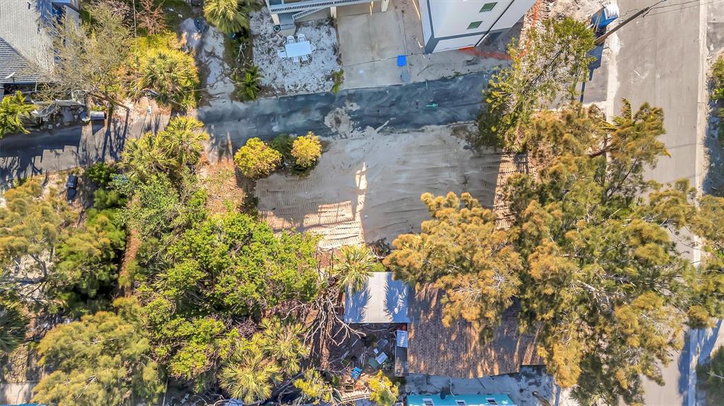 109 125th Avenue Treasure Island, FL 33706 - Photo 24 of 46 a picture of flowers