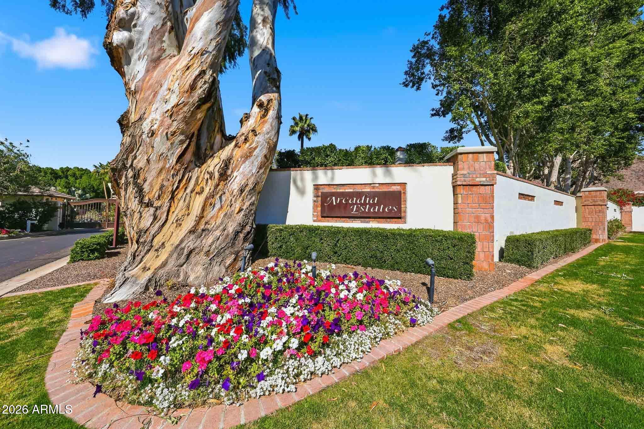 4149 North 49th Way Phoenix, AZ 85018 - Photo 19 of 25 a picture of flowers
