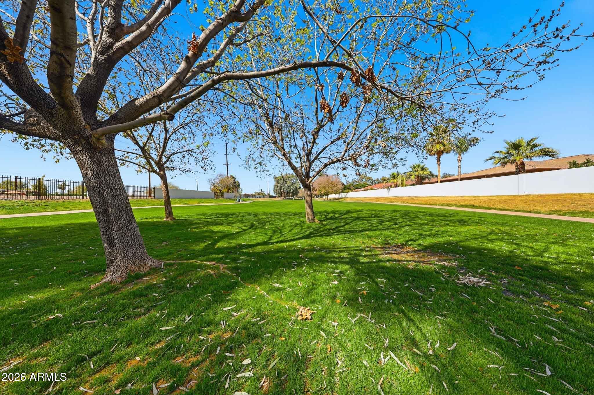 4149 North 49th Way Phoenix, AZ 85018 - Photo 20 of 25 a view of yard with tree in the background