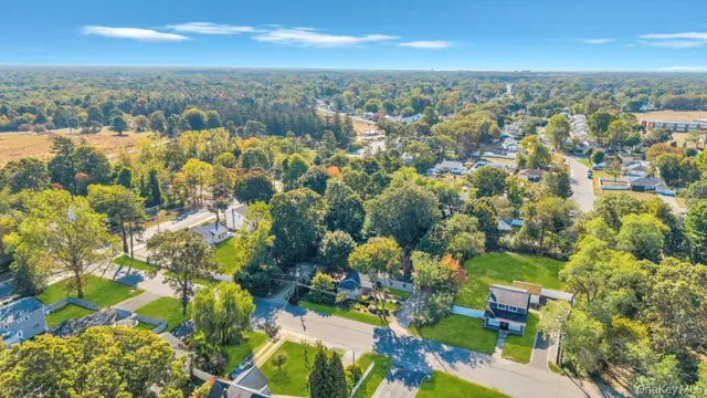 a view of a garden with flowers