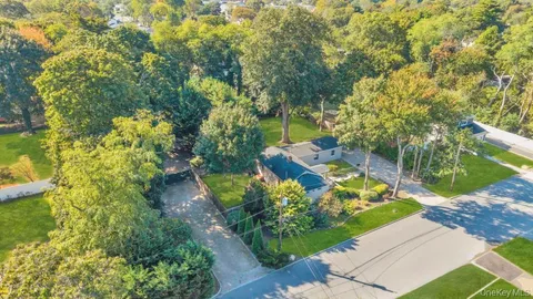a view of yard with grass and a large tree