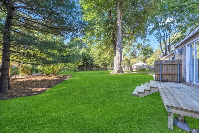 a view of a garden with a tree
