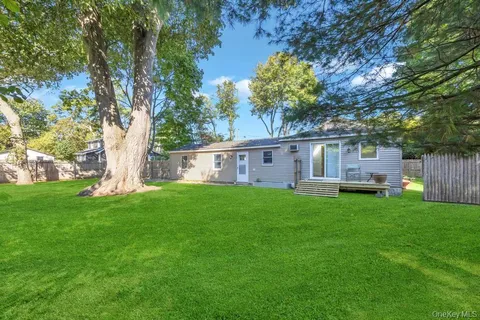 a view of a backyard with a large tree