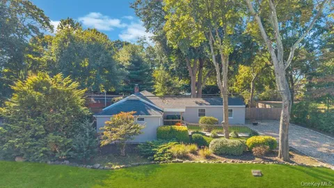 a view of a backyard with large trees and wooden fence