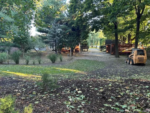 a view of a park with large trees
