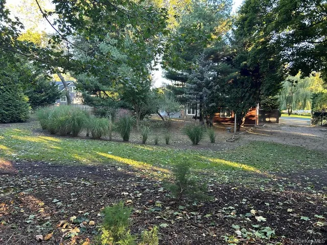 a view of a yard with a tree