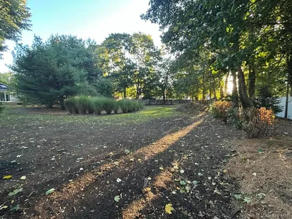 a view of a yard with plants and trees