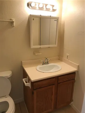 a bathroom with a sink and a toilet