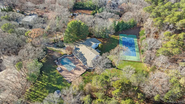 a view of a yard with plants and large trees