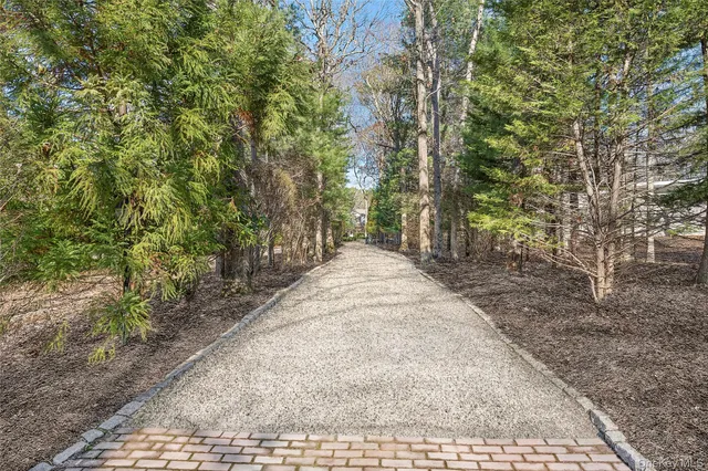 a view of backyard with green space