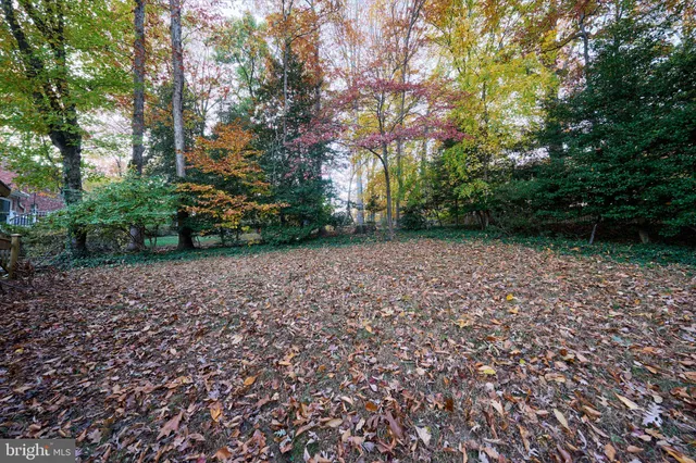 a view of a backyard with large trees