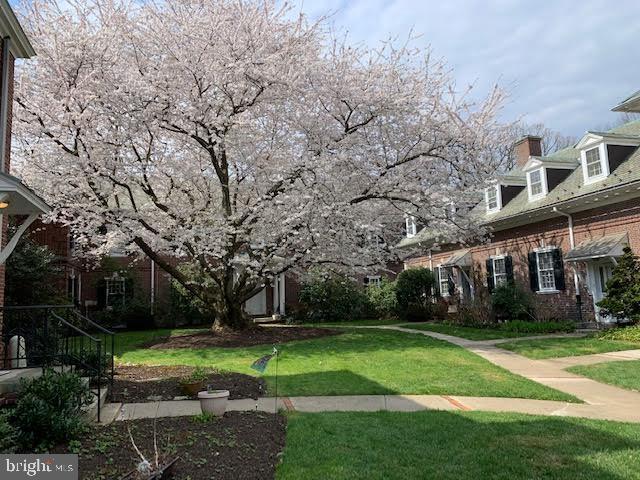 115 Roumfort Road, Unit 13 Philadelphia, PA 19119 - Photo 3 of 27