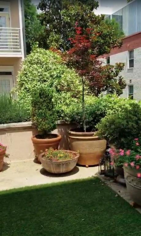 225 East Ponce De Leon Avenue, Unit 325 Decatur, GA 30030 - Photo 32 of 34 a view of a backyard with plants and a patio