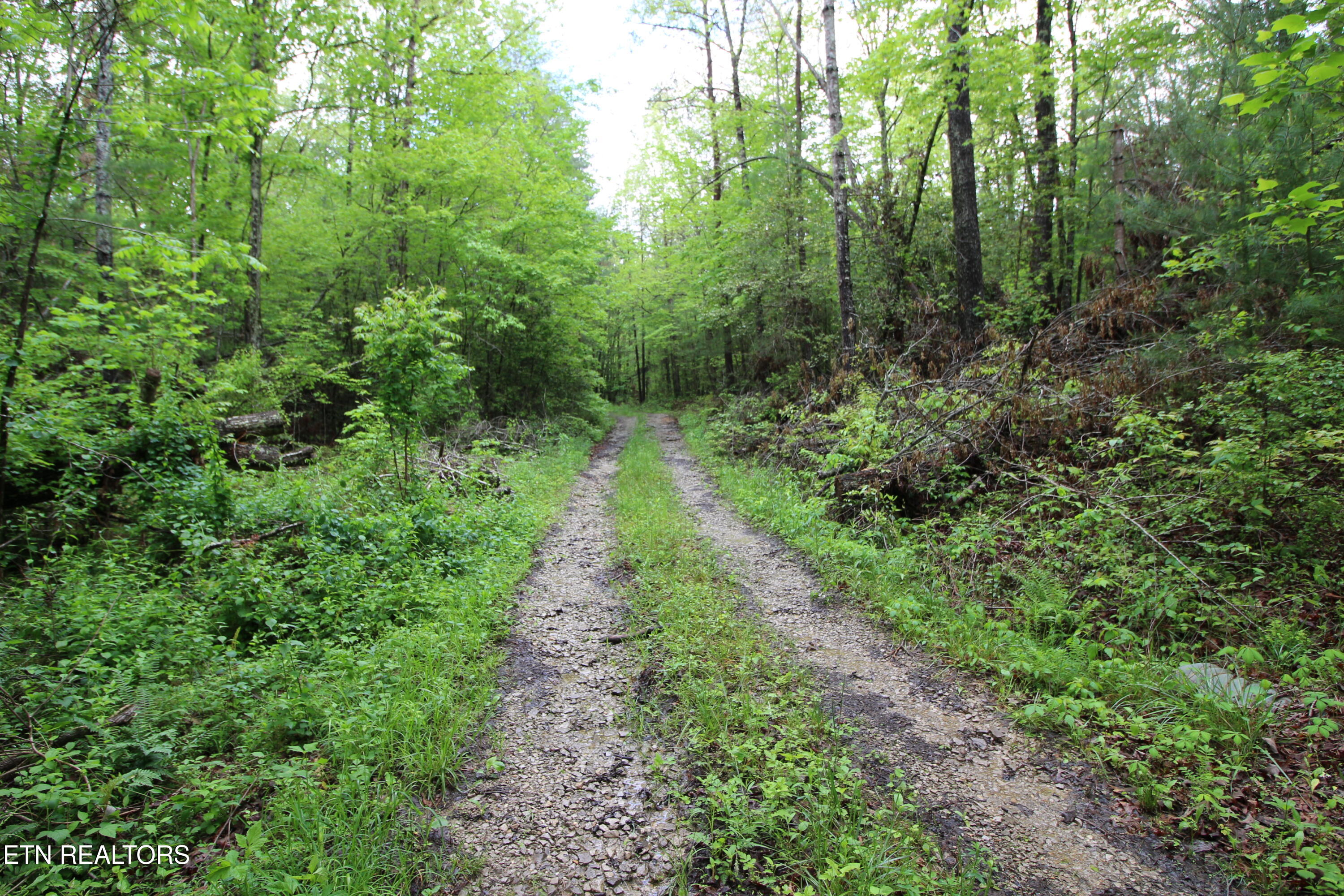 25.24-ac Loyd Knox Road Grandview, TN 37337 - Photo 3 of 10 Loyd Knox Rd