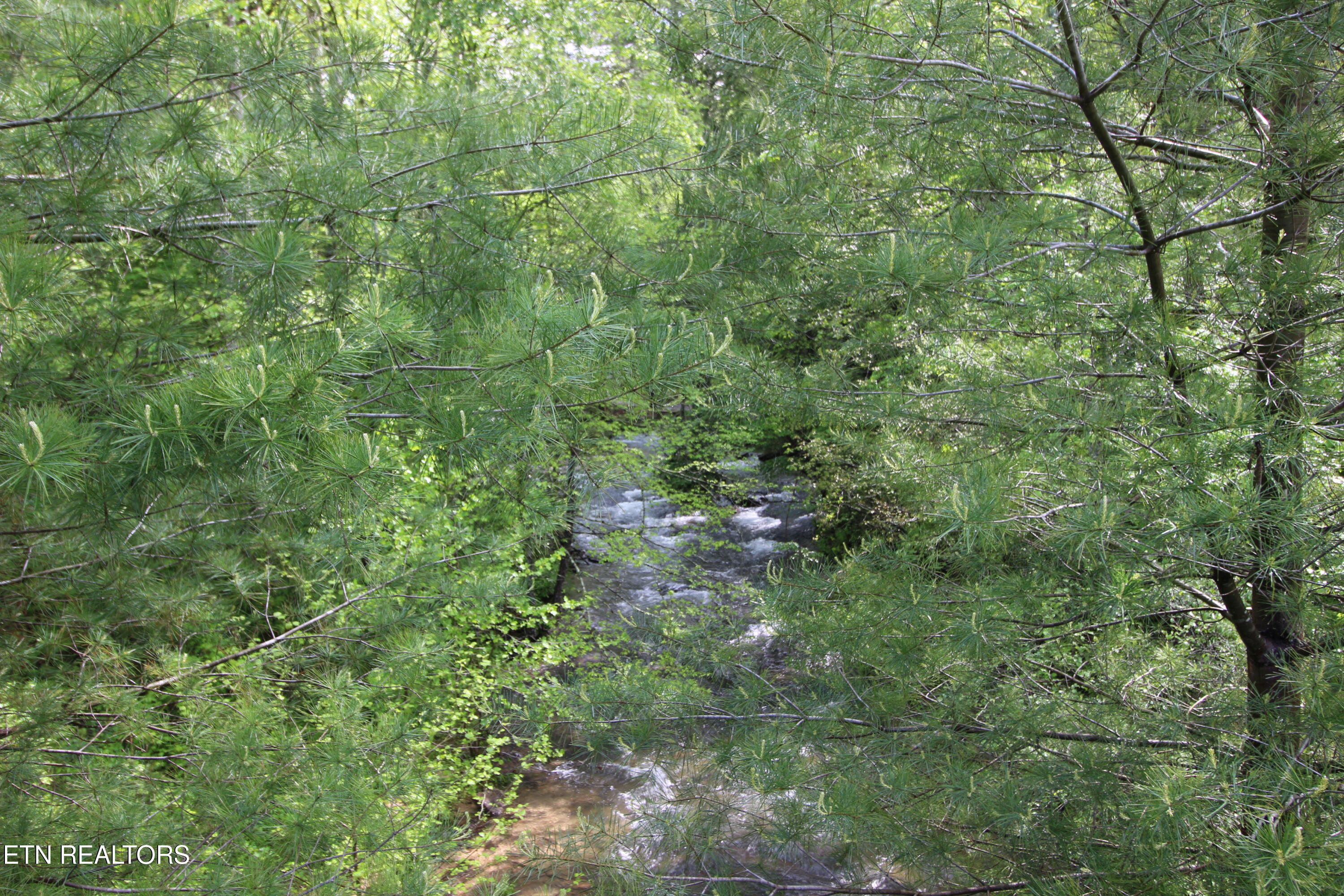 25.24-ac Loyd Knox Road Grandview, TN 37337 - Photo 5 of 10 Sandy Creek
