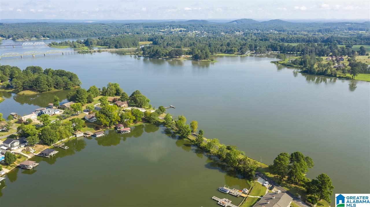 741 Coves Point Drive Riverside, AL 35135 - Photo 42 of 50