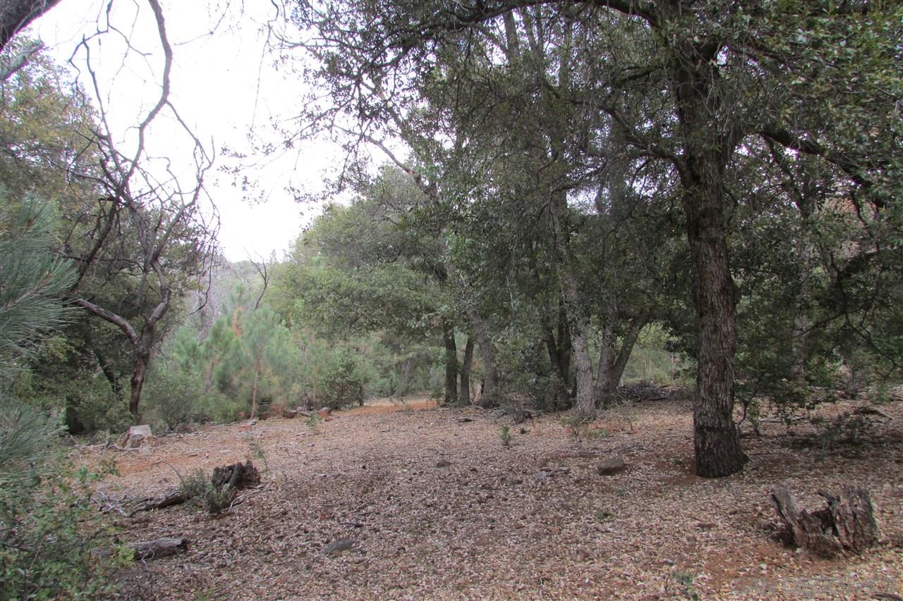 Julian Estates Road Julian, CA 92036 - Photo 1 of 17 Gallery Image 1