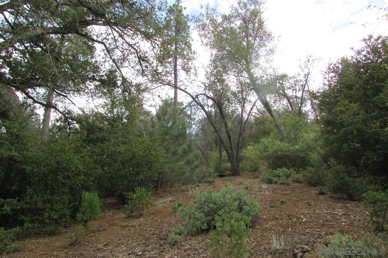 Julian Estates Road Julian, CA 92036 - Photo 12 of 17 Gallery Image 12