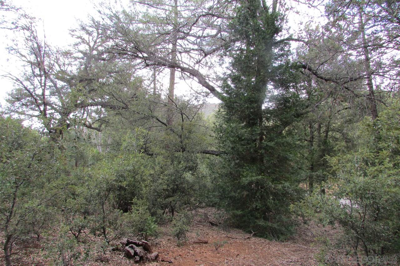 Julian Estates Road Julian, CA 92036 - Photo 10 of 17 Gallery Image 10