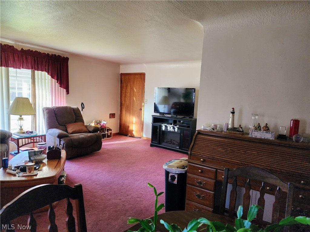 7457 Pearl Road Cleveland, OH 44130 - Photo 2 of 20 Main Level Living Room