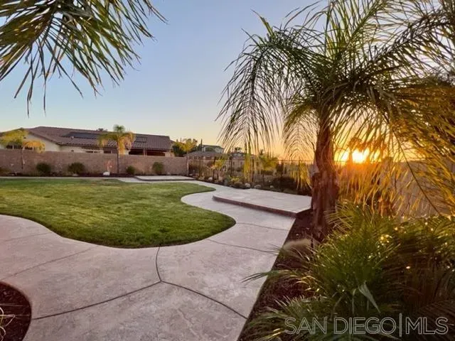 a view of a backyard