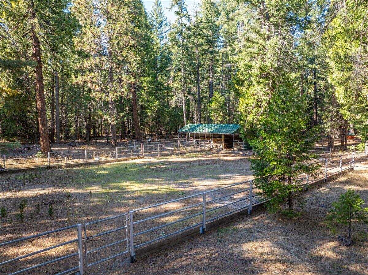 34820 Emigrant Trail Shingletown, CA 96088 - Photo 36 of 42 a view of swimming pool with lawn chairs and trees