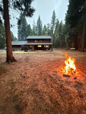 a front view of a house with a tree