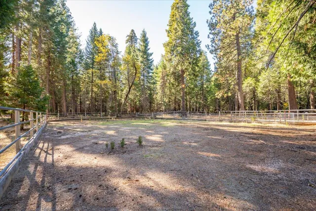 a view of a field with trees in the background