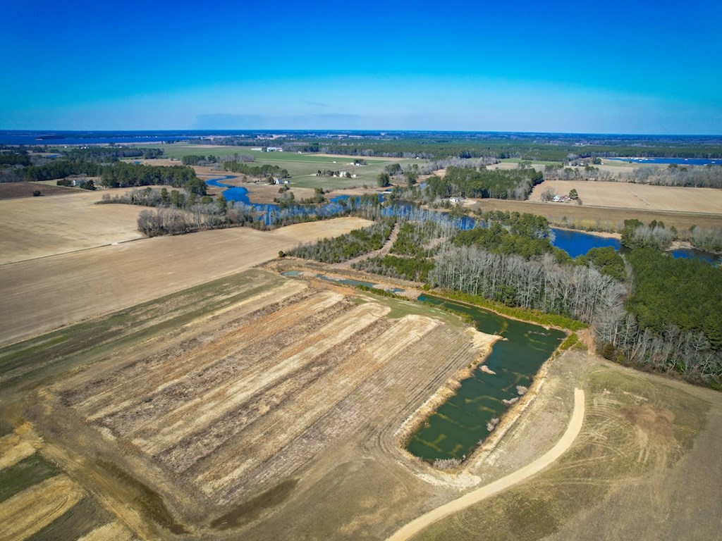 76.19-ac Saxis Road Temperanceville, VA 23442 - Photo 4 of 37