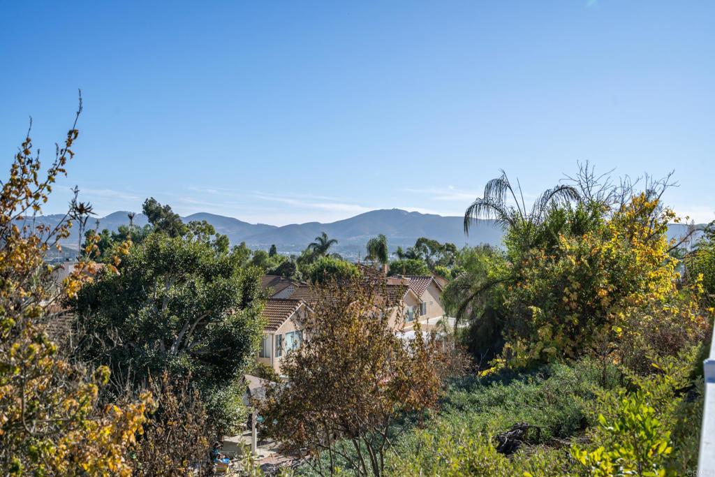 509 Avenida Verde San Marcos, CA 92069 - Photo 35 of 46